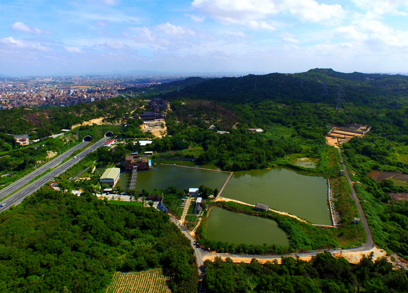 玩在晋江-晋江魅力-印象晋江-晋江市人民政府